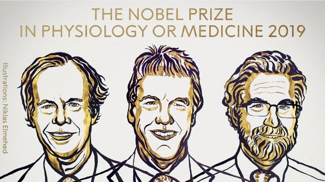 NOBEL PER LA MEDICINA, ECCO A CHI È ANDATO IL PREMIO NEL 2019